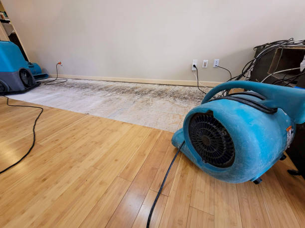 Professional Sewage Cleanup technician working in Virginia City, NV